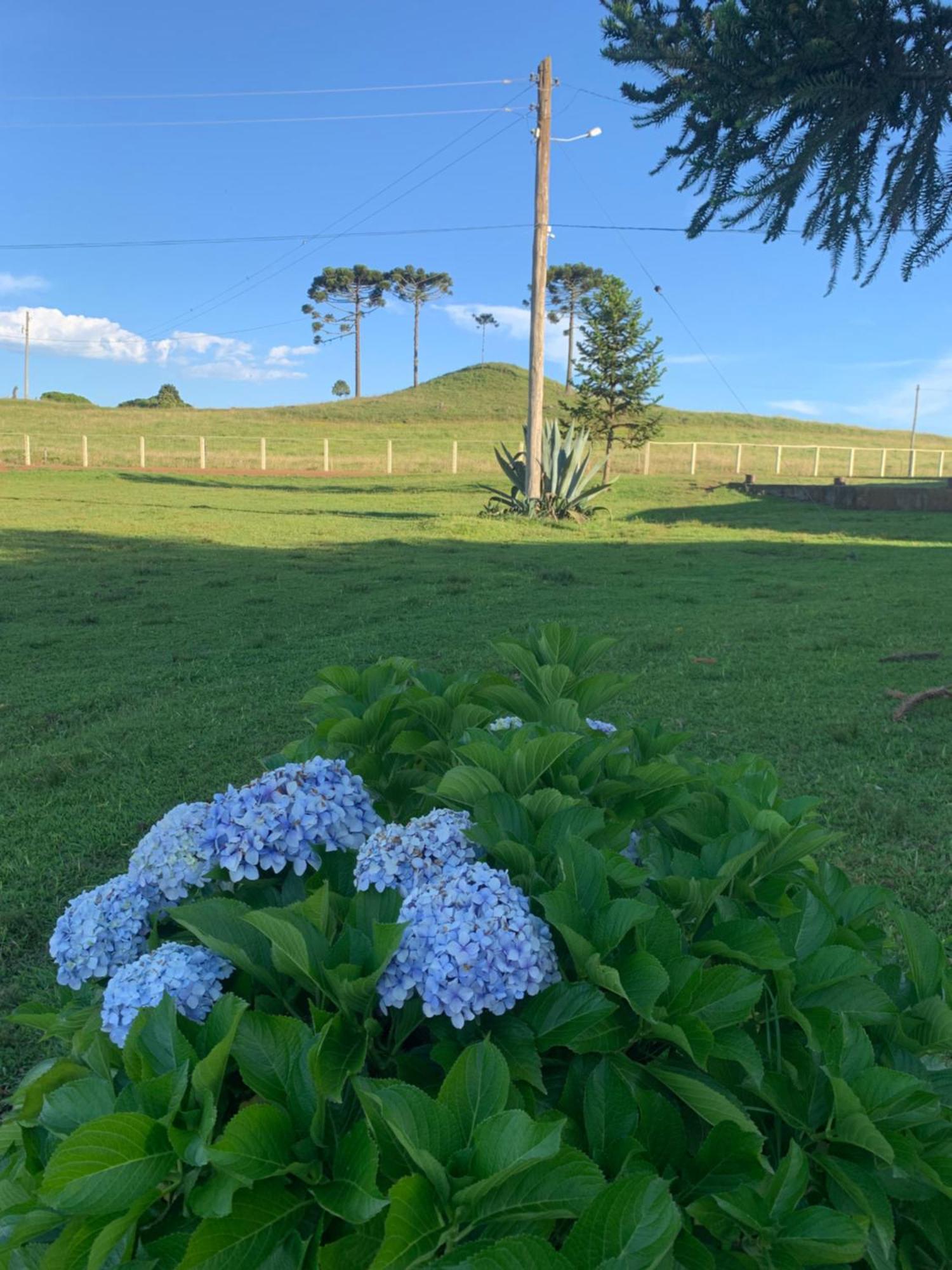 Pousada Fazenda Paim Sao Jose dos Ausentes Zewnętrze zdjęcie