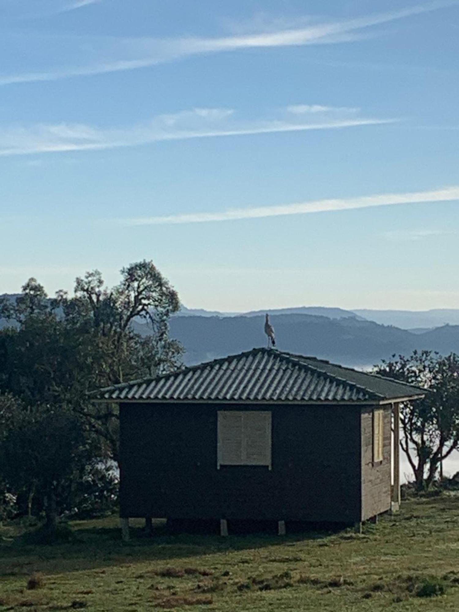 Pousada Fazenda Paim Sao Jose dos Ausentes Zewnętrze zdjęcie